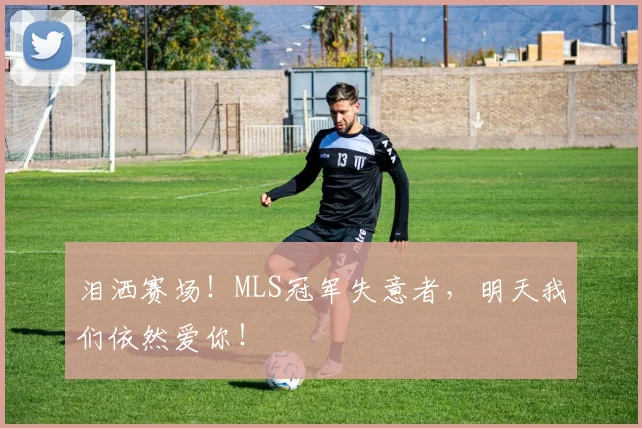 泪洒赛场!MLS冠军失意者,明天我们依然爱你!