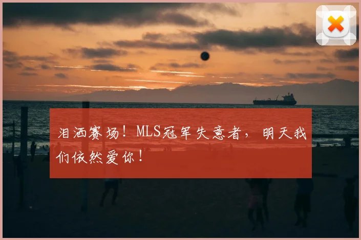 泪洒赛场!MLS冠军失意者,明天我们依然爱你!